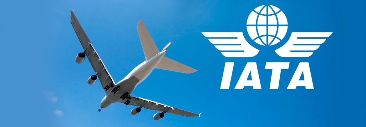 International Air Transport Association