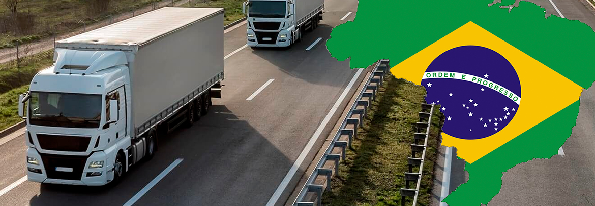 LAND SERVICE BETWEEN BRAZIL AND CHILE